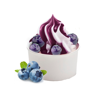 SALSA MIRTILLO
