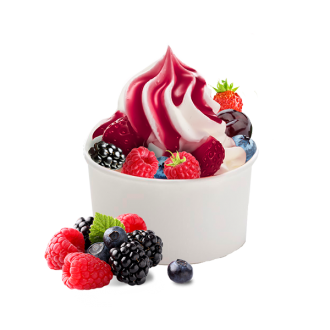 SALSA FRUTTI DI BOSCO