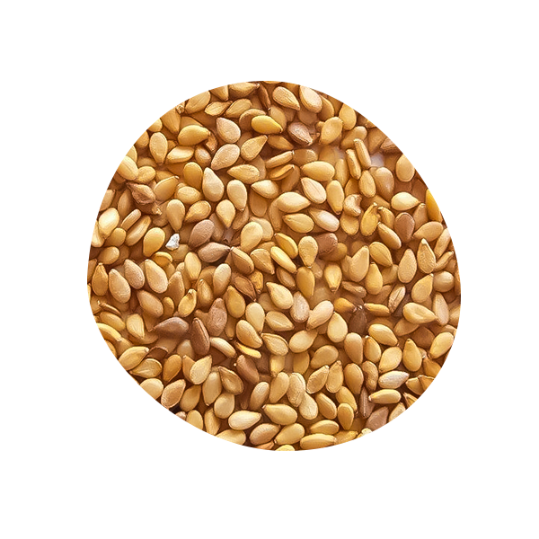 SESAMO BIANCO PRALINATO